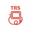 Трансформаторы розжига Cofi TRS